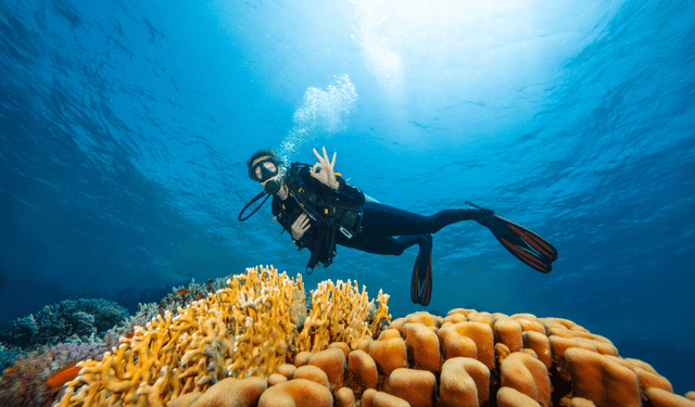 Private Scuba Dive Experience in Ölüdeniz