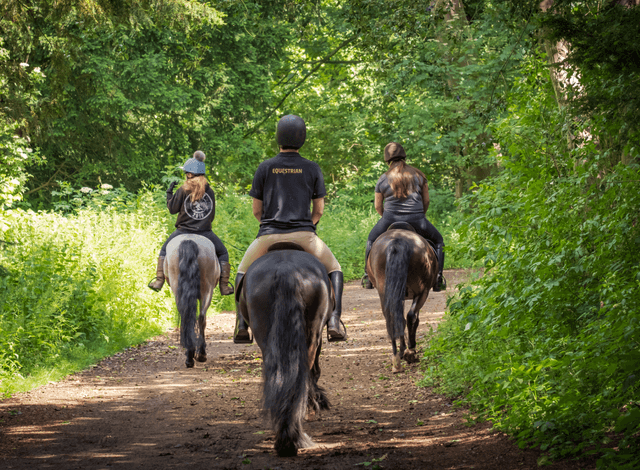 Fethiye Kargı Horseback Riding Tour