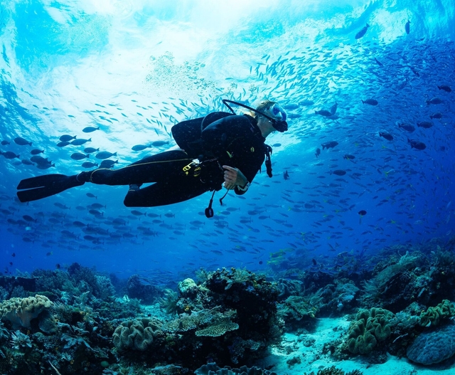 Scuba Diving Tour from Antalya: Çaltıcak Bay & Sıçan Island for All Levels (With Transfer)