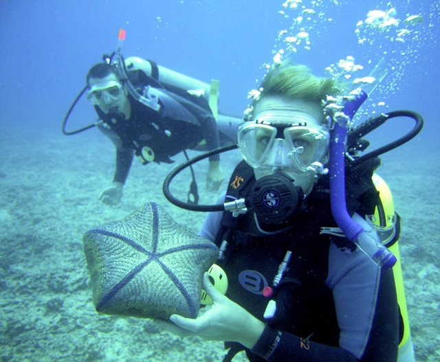 Antalya Scuba Diving Tour: Çaltıcak & Sıçan Island for All Levels (Transfer from Kemer–Belek–Boğazköy)