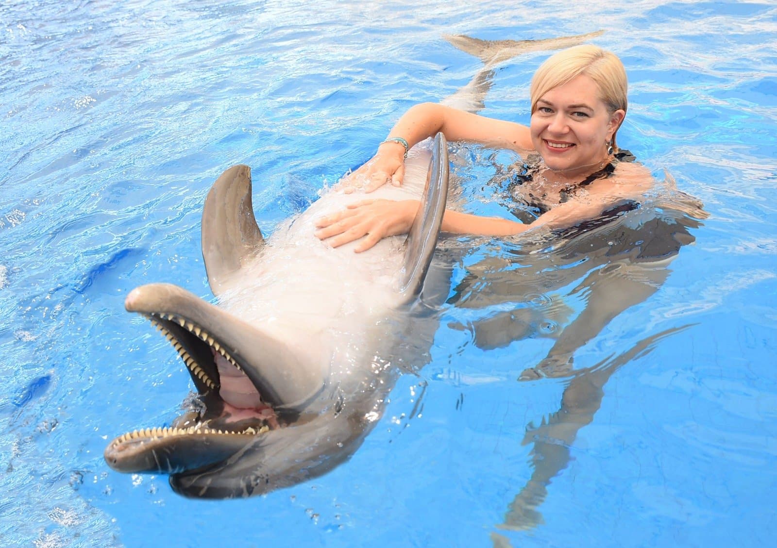 Aksu Dolphinarium