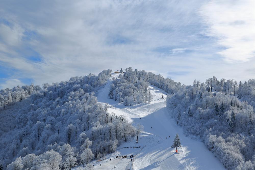 Kartepe