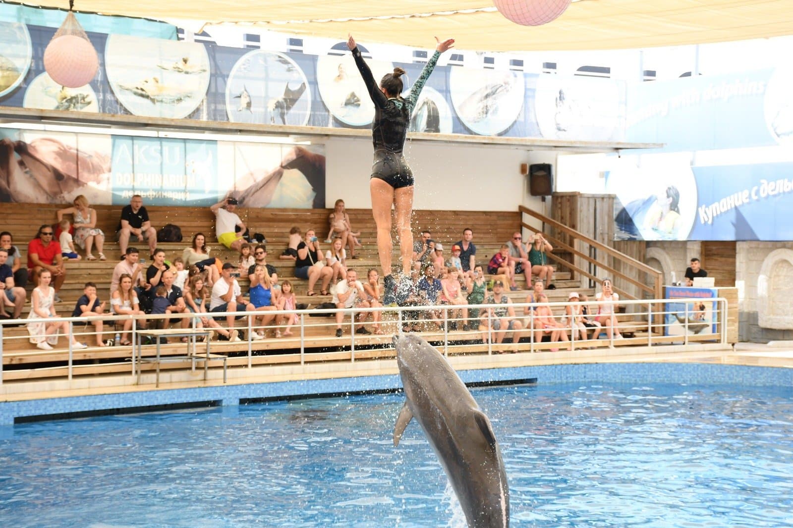 Aksu Dolphinarium