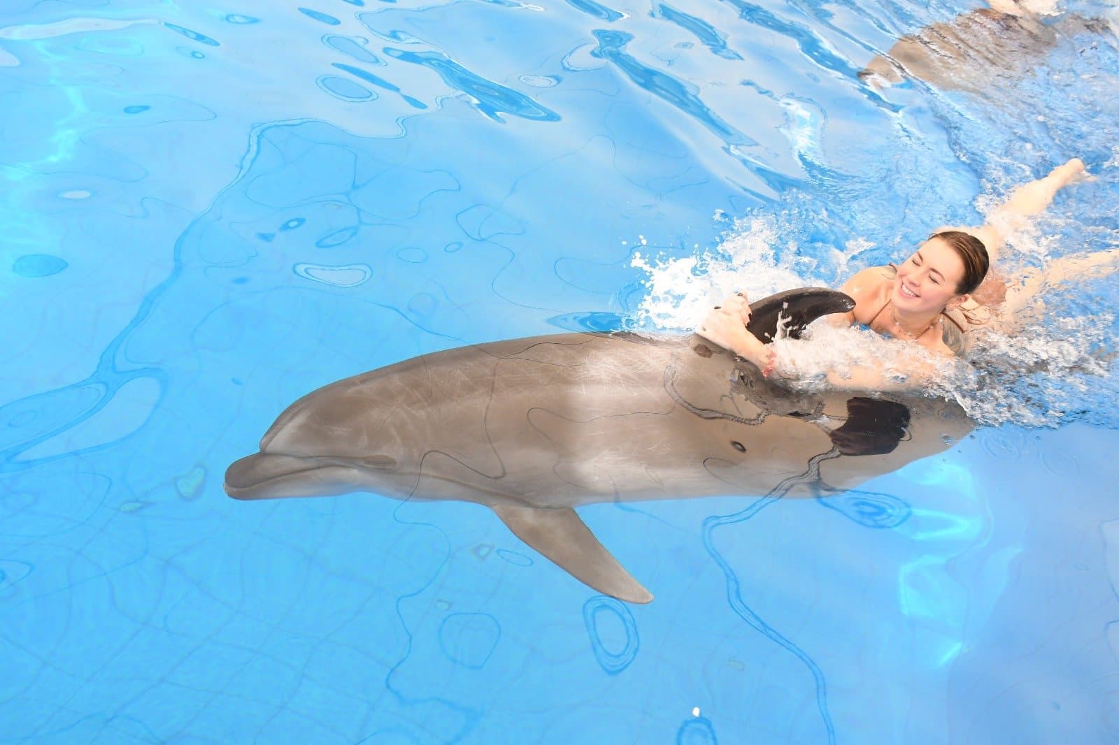 Aksu Dolphinarium