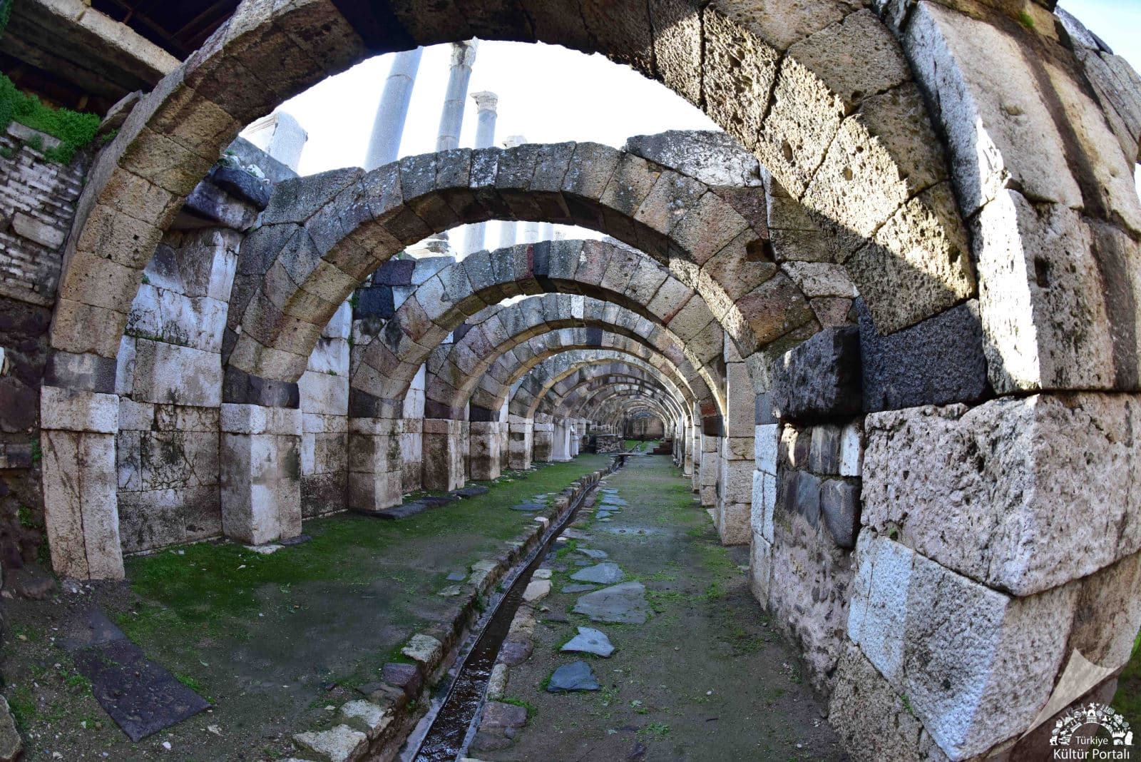 İzmir Agora Örenyeri