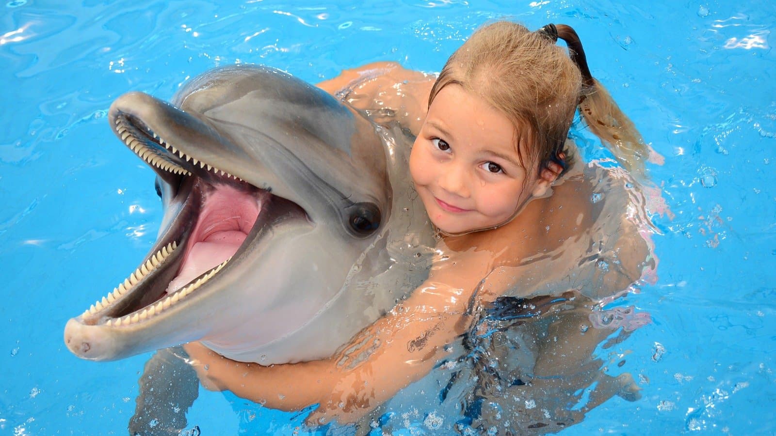 Aksu Dolphinarium