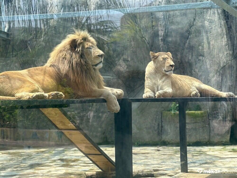 Aslan Park ViaPort Marina