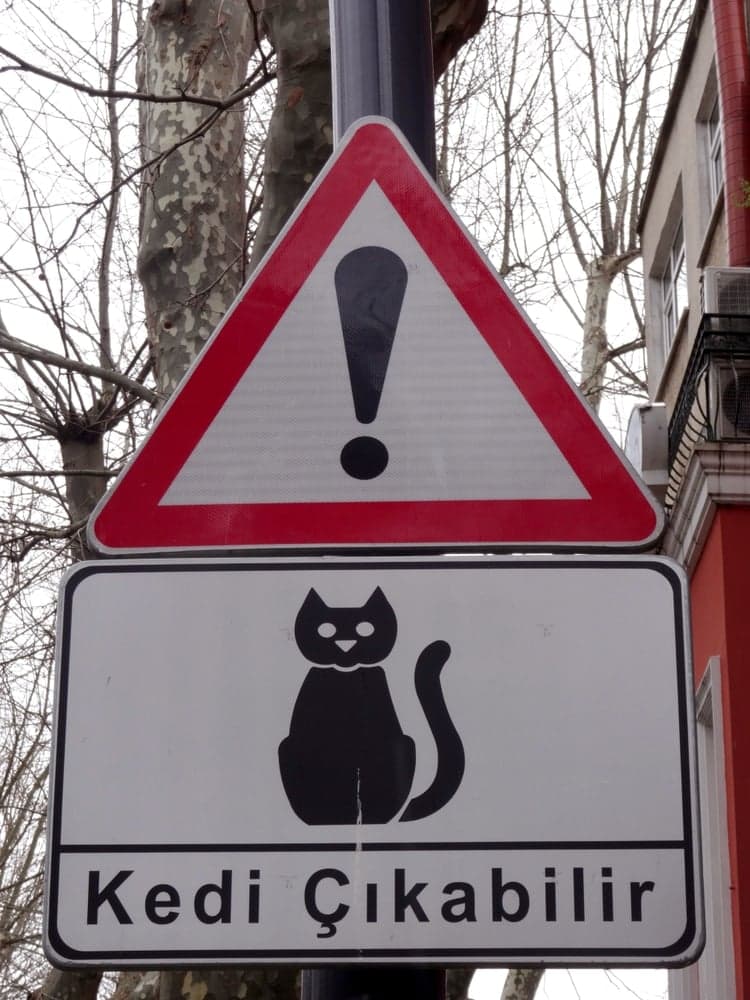 Kuzguncuk