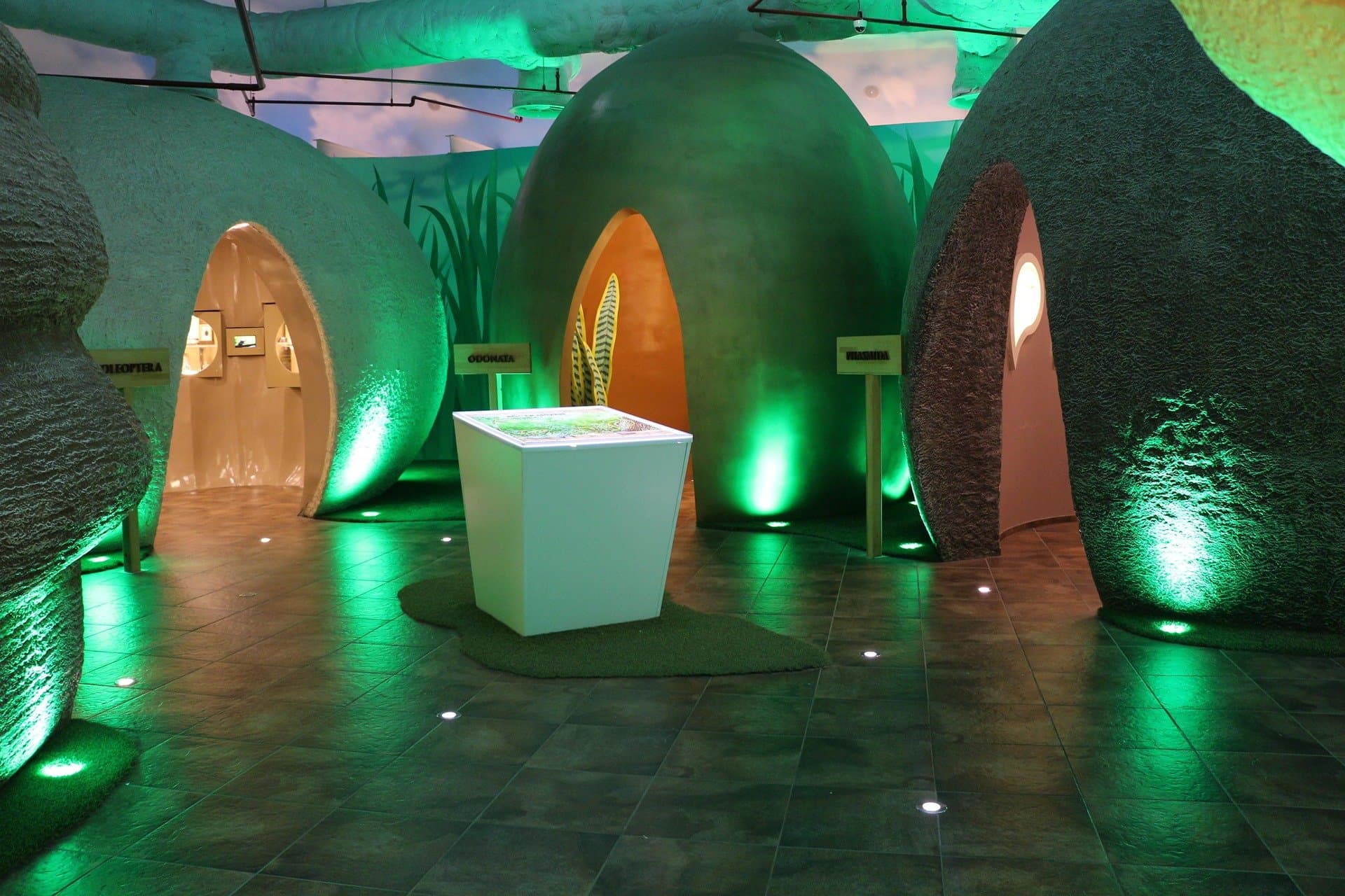 Входной билет в Тропический Сад Бабочек Коньи