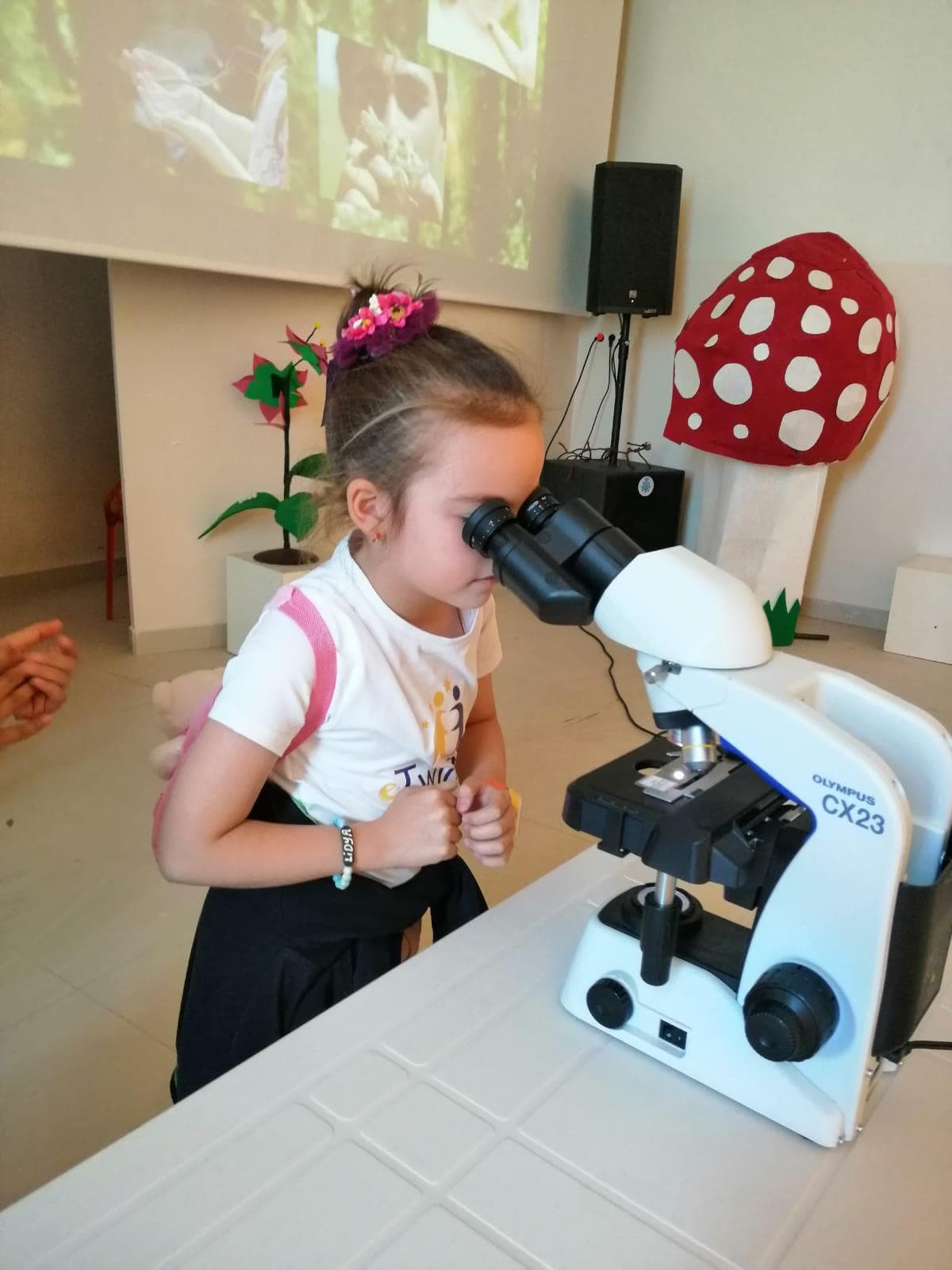 Входной билет в Тропический Сад Бабочек Коньи