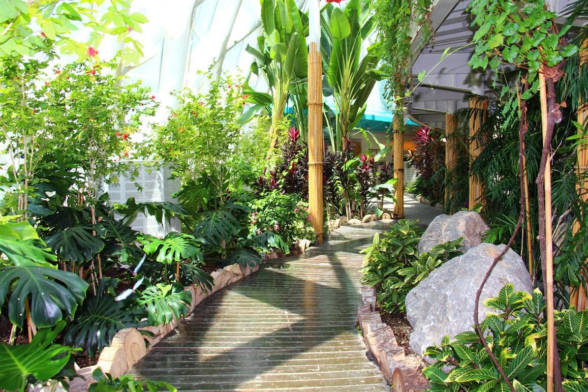 Входной билет в Тропический Сад Бабочек Коньи